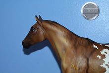 Load image into Gallery viewer, Indian Pony-Appaloosa Performance Horse-Chalky Version-Breyer Traditional