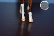 Load image into Gallery viewer, Unknown Name-Glossy-Chestnut-Pebbles Arabian Mold-Peter Stone