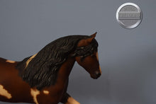 Load image into Gallery viewer, Cips-Yellowed-El Pastor Mold-Breyer Traditional
