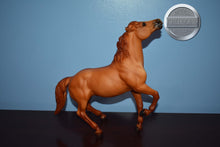 Load image into Gallery viewer, Red Dun Mustang-Sears Exclusive-Semi Rearing Mustang Mold-Breyer Traditional