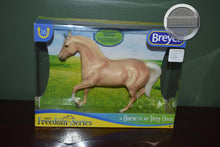 Load image into Gallery viewer, Palomino Morgan-Mariah Mold-New in Box-Breyer Classic