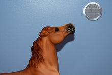Load image into Gallery viewer, Red Dun Mustang-Sears Exclusive-Semi Rearing Mustang Mold-Breyer Traditional