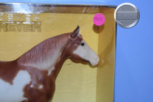 Load image into Gallery viewer, LIke a Diamond-Adios Mold-New in Box-Breyer Traditional