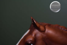 Load image into Gallery viewer, Chestnut Quarter Horse-Long Tail Version-Treasure Hunt Series-Lady Phase Mold-Breyer Traditional
