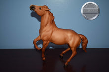 Load image into Gallery viewer, Red Dun Mustang-Sears Exclusive-Semi Rearing Mustang Mold-Breyer Traditional