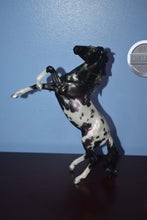 Load image into Gallery viewer, Eek-Halloween Exclusive-American Dream Mold-Breyer Classic