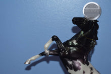 Load image into Gallery viewer, Eek-Halloween Exclusive-American Dream Mold-Breyer Classic