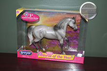 Load image into Gallery viewer, Mariah Morab-Horse of the Year-Mariah Mold-New in Box-Breyer Classic