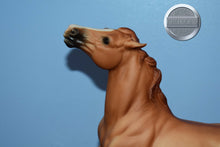 Load image into Gallery viewer, Red Dun Mustang-Sears Exclusive-Semi Rearing Mustang Mold-Breyer Traditional