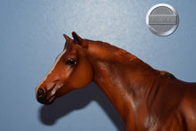 Load image into Gallery viewer, Chestnut Lady Phase Short Tail-From Treasure Hunt-Lady Phase Mold-Breyer Traditional
