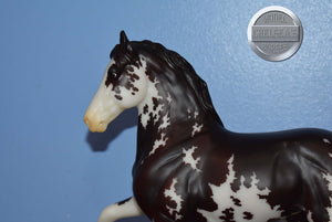 Gran Cavallo-Breyerfest Exclusive-Peruvian Paso Mold-Breyer Traditional