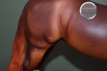 Load image into Gallery viewer, Chestnut Quarter Horse-Long Tail Version-Treasure Hunt Series-Lady Phase Mold-Breyer Traditional