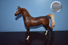 Load image into Gallery viewer, Tu Fire-LE of 500-Original Arabian Mold-Peter Stone