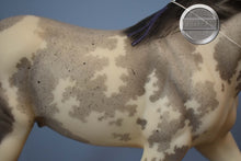 Load image into Gallery viewer, Benelli-Matte Version-Breyerfest Exclusive-Shire Gelding Mold-Breyer Traditional