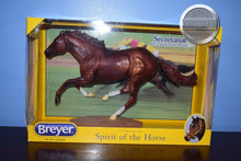 Load image into Gallery viewer, Secretariat-New in Box-Smarty Jones Mold-Breyer Traditional