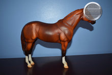 Load image into Gallery viewer, Chestnut Lady Phase Short Tail-From Treasure Hunt-Lady Phase Mold-Breyer Traditional