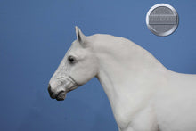 Load image into Gallery viewer, White Belgian-Roy the Belgian Mold-Breyer Traditional