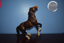 Load image into Gallery viewer, Sarsparilla-Semi Rearing Mustang Mold-Breyer Traditional