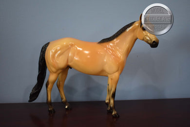 Joshua Caine-Glossy-Ideal Stock Horse Mold-Peter Stone