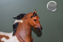 Load image into Gallery viewer, Bay Pinto National Show Horse-Breyer Traditional