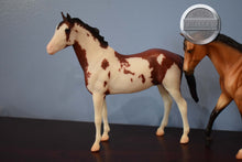 Load image into Gallery viewer, Tschiffely&#39;s Ride Set-Quarter Horse Gelding and Duchess Mold-Breyerfest Exclusive-Breyer Classic