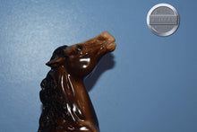 Load image into Gallery viewer, Sarsparilla-Semi Rearing Mustang Mold-Breyer Traditional