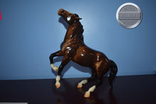 Load image into Gallery viewer, Sarsparilla-Semi Rearing Mustang Mold-Breyer Traditional