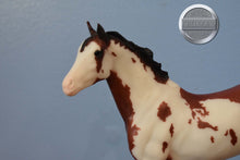 Load image into Gallery viewer, Tschiffely&#39;s Ride Set-Quarter Horse Gelding and Duchess Mold-Breyerfest Exclusive-Breyer Classic