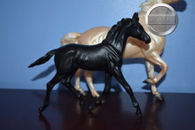 Load image into Gallery viewer, Clouds Encore and Tor-Mustang Mare and Gilen Molds-Breyer Traditional