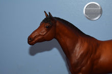 Load image into Gallery viewer, Bay Trakenher-Trakenher Mold-Breyer Traditional