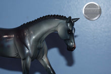 Load image into Gallery viewer, Blue Wing-Pebbles-Warmblood-Peter Stone