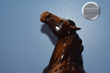 Load image into Gallery viewer, Sarsparilla-Semi Rearing Mustang Mold-Breyer Traditional