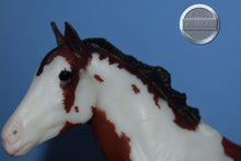 Load image into Gallery viewer, Tschiffely&#39;s Ride Set-Quarter Horse Gelding and Duchess Mold-Breyerfest Exclusive-Breyer Classic
