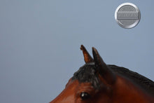 Load image into Gallery viewer, Bay Trakenher-Trakenher Mold-Breyer Traditional