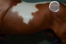 Load image into Gallery viewer, Bay Pinto National Show Horse-Breyer Traditional