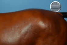 Load image into Gallery viewer, Bay Trakenher-Trakenher Mold-Breyer Traditional