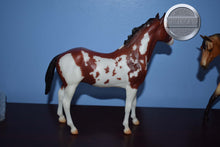 Load image into Gallery viewer, Tschiffely&#39;s Ride Set-Quarter Horse Gelding and Duchess Mold-Breyerfest Exclusive-Breyer Classic