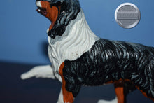 Load image into Gallery viewer, Bernese Mountain Dog-Companion Animal-Breyer Companion Accessories