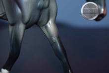 Load image into Gallery viewer, Blue Wing-Pebbles-Warmblood-Peter Stone