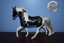 Load image into Gallery viewer, Lady C-Breyerfest Exclusive-Bluegrass Bandit Mold-Breyer Traditional