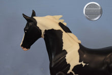 Load image into Gallery viewer, Lady C-Breyerfest Exclusive-Bluegrass Bandit Mold-Breyer Traditional