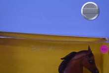 Load image into Gallery viewer, Rejoice-Breyerfest Exclusive-New in Box-National Show Horse Mold-Breyer Traditional
