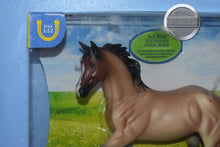 Load image into Gallery viewer, Bay Roan Australian Stock Horse-Harper Mold-New in Box-Breyer Classic