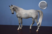 Load image into Gallery viewer, Witucki-OOAK Matte Pebbles Arabian-XFCM-Peter Stone