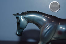 Load image into Gallery viewer, Blue Wing-Pebbles-Warmblood-Peter Stone