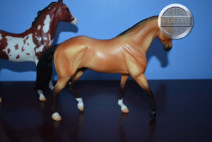 Tschiffely's Ride Set-Quarter Horse Gelding and Duchess Mold-Breyerfest Exclusive-Breyer Classic