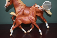 Load image into Gallery viewer, Sugar and Spice-Running Mare and Foal Mold-Breyer Traditional