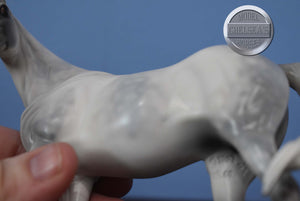 Witucki-OOAK Matte Pebbles Arabian-XFCM-Peter Stone