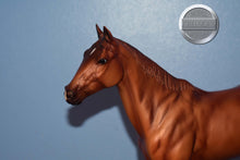 Load image into Gallery viewer, Prancer-Saddle Club-Boyla Mold-Breyer Traditional