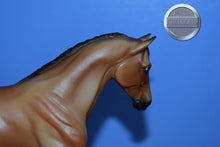 Load image into Gallery viewer, Tschiffely&#39;s Ride Set-Quarter Horse Gelding and Duchess Mold-Breyerfest Exclusive-Breyer Classic